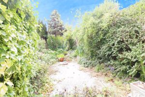 Photo 16- click for photo gallery